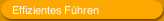 Effizientes  Führen