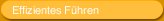 Effizientes  Führen