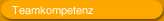 Teamkompetenz