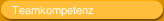 Teamkompetenz